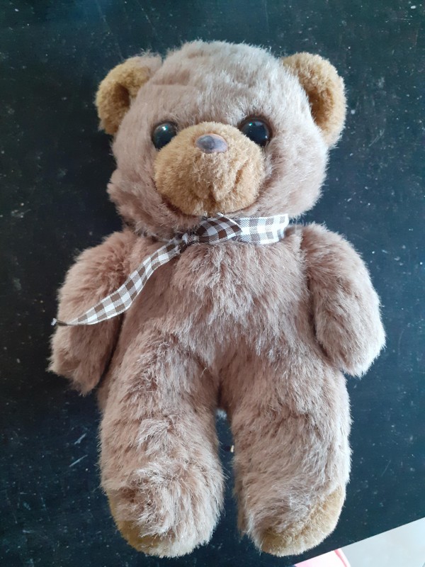 Doudou nounours