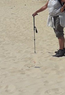 Baton canne