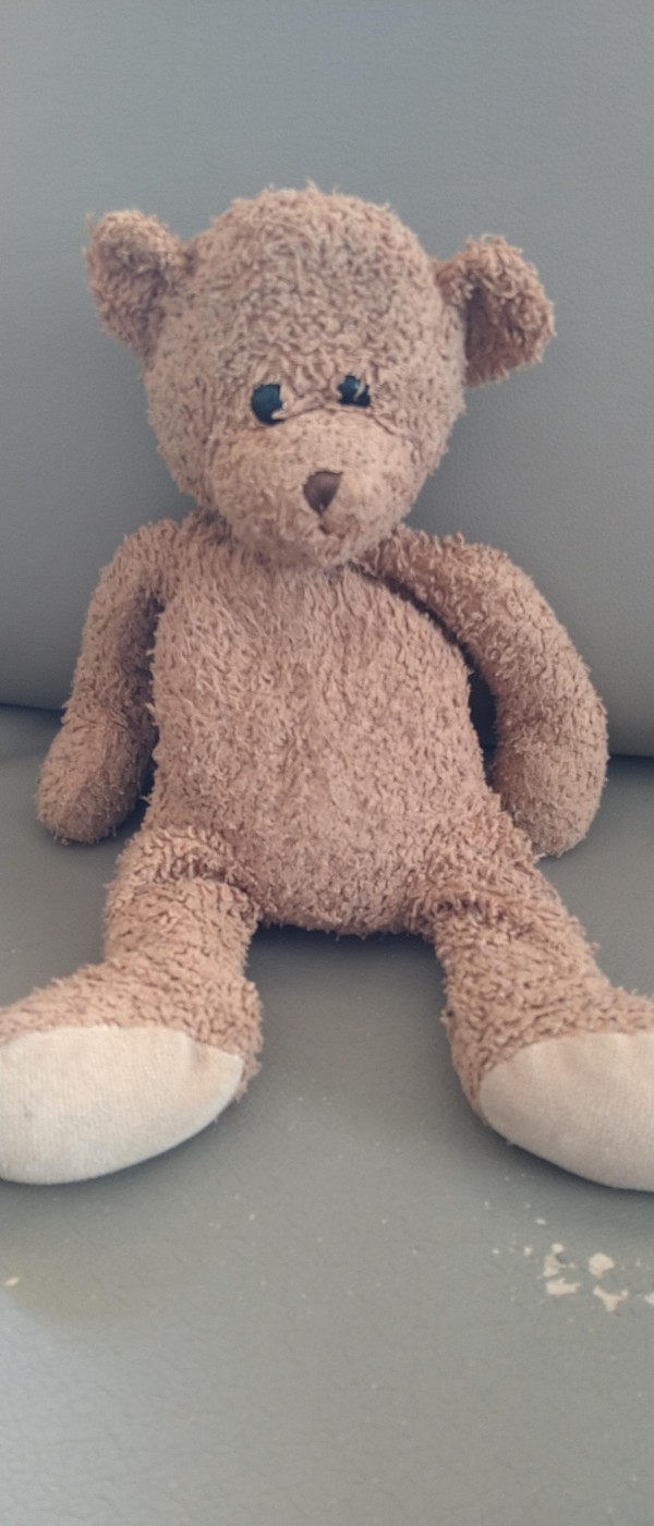 Joli petit ourson