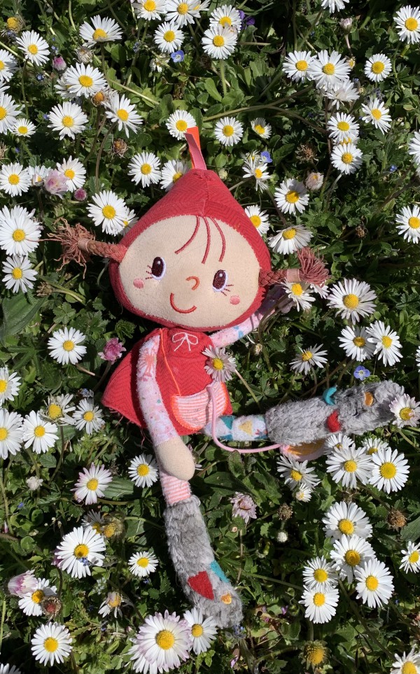 Perdu Doudou à Châtel Guyon (63 Puy de dôme)