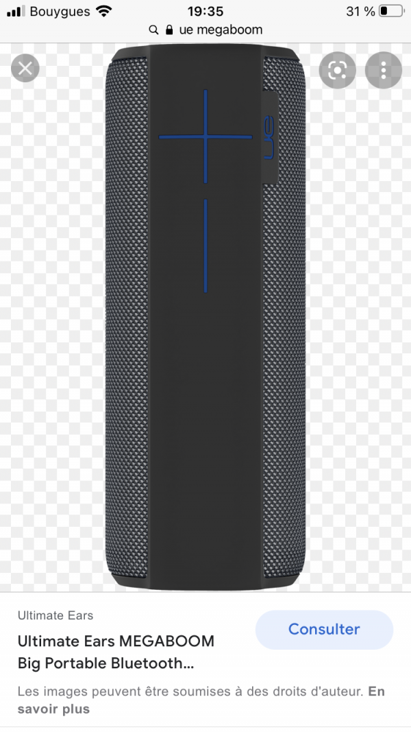 Perdu Enceinte Bluetooth UE MEGABOOM, Ateliers des Capucins, à Brest