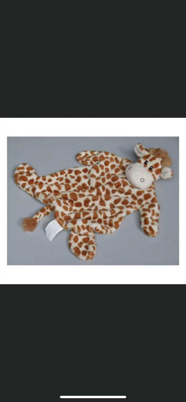 Doudou girafe perdj devant le cic mairie de Troyes