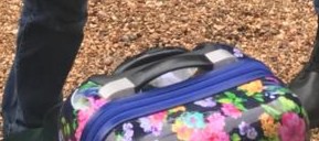 Valise à fleurs oubliée dans un TER le 30 juin à Dijon.