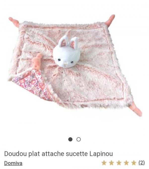 Perdu Doudou Lapin et tétine violette cordon silicone - La Rochelle