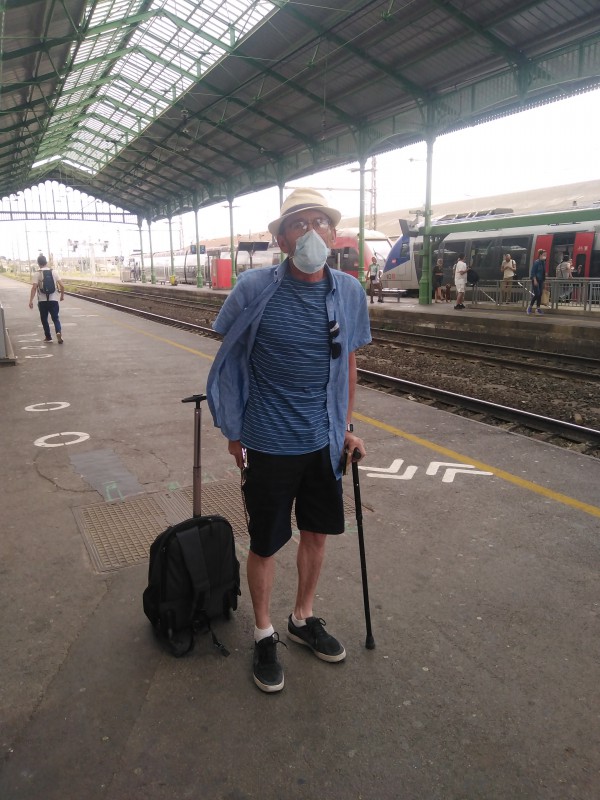 Perdu cane de marche ligne 11 sens les bouisses le 21/07/21 vers 17h00