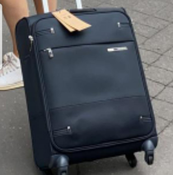Valise Samsonite bleue/noire perdue Gare de Lyon RER A