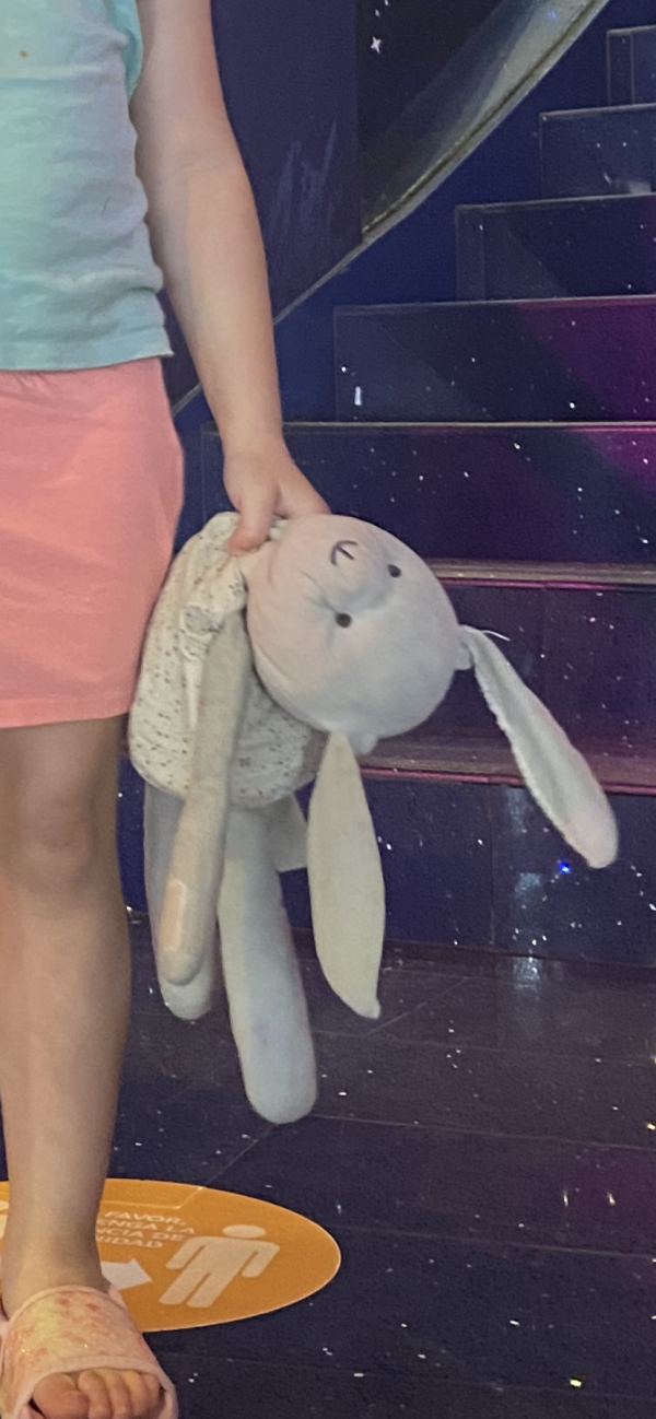 Perdu doudou