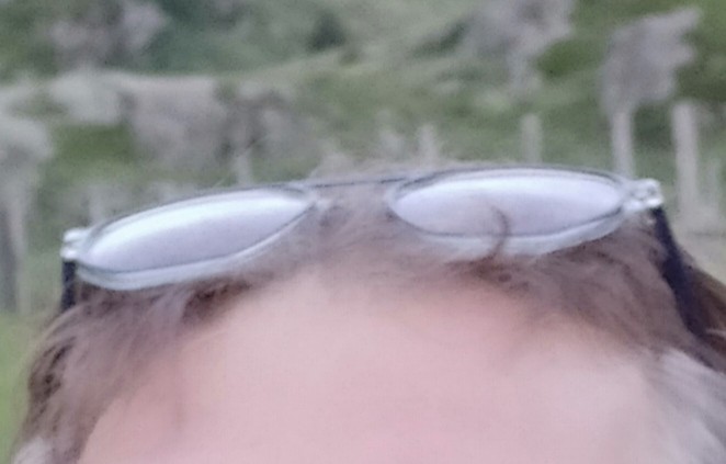 Perdu lunettes de vue bleues forme hexagonale