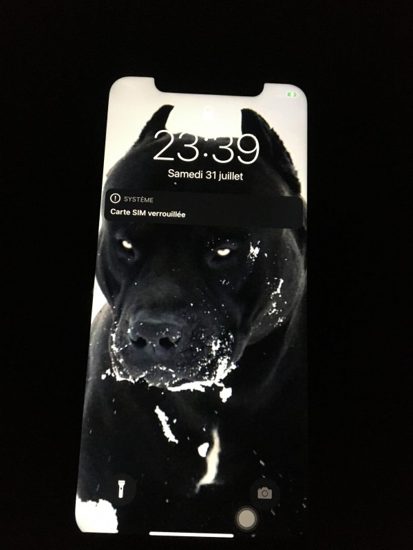 iPhone trouvé au jardin d’esterno à Dijon