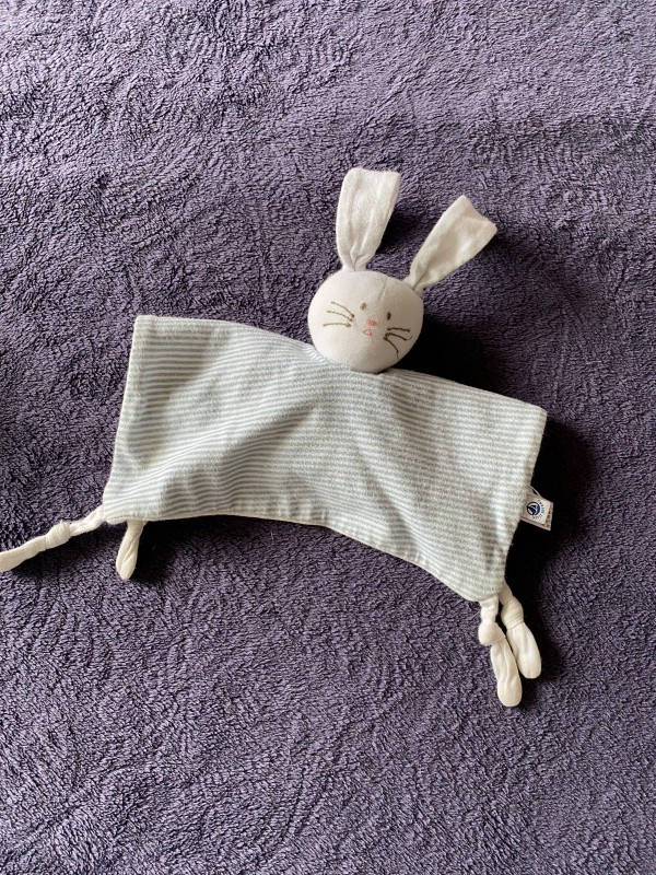Doudou perdu, quartier Bonnefoy, Toulouse