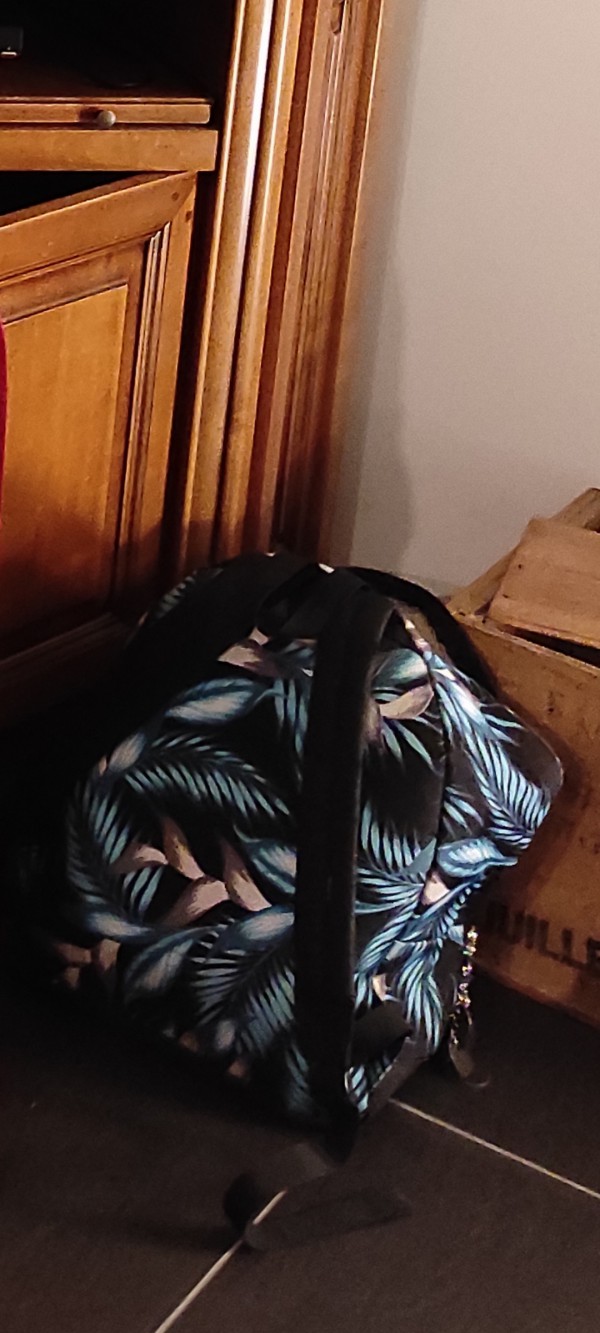 Perdu sac à dos bleu et noir à motif tropical, parking de la gare de Caen