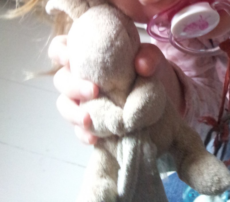 Doudou perdu