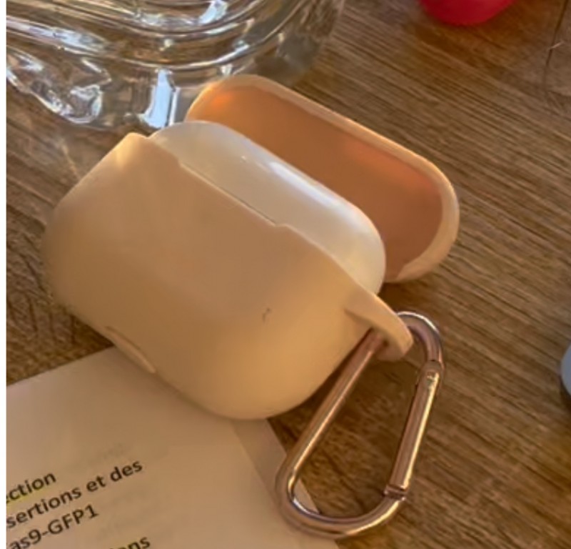 AirPods Pro dans boîtier rose dans Avion TN67 8 juillet