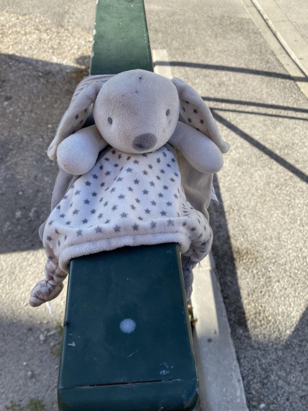 Trouvé doudou chien Hyeres