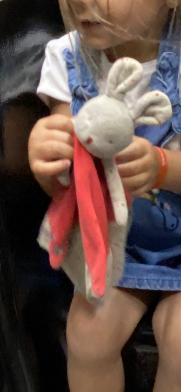 Un doudou