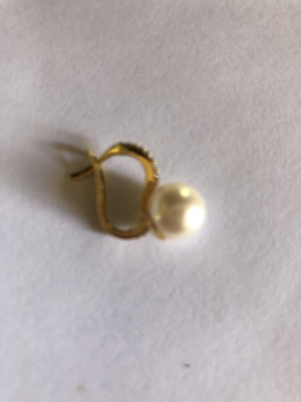 Perdue Boucle d oreille à Ronce les bains La tremblasse