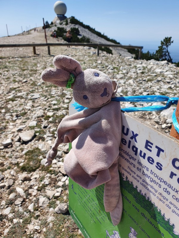Trouvé doudou rose avec un élastique vert sur oreille