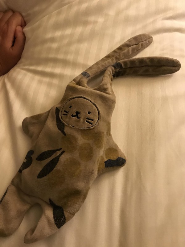 Doudou lapin catimini trouvé Metz rue de la tête d or