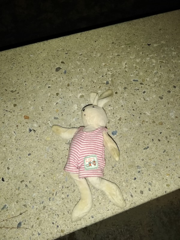 Doudou trouvé au lac de manbuisson
