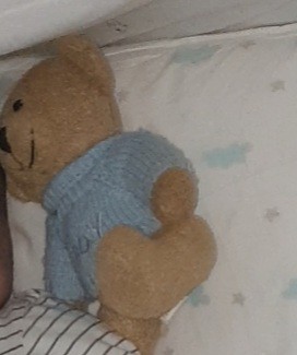 Mon fils a perdu son doudou bruin avec un pull bleu