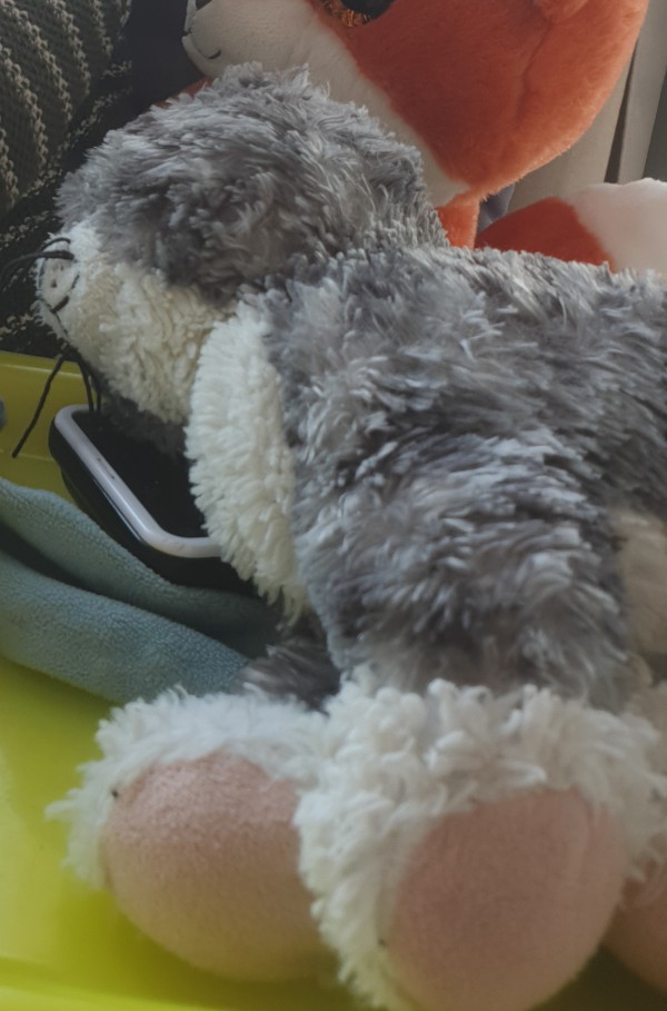 Peluche chat