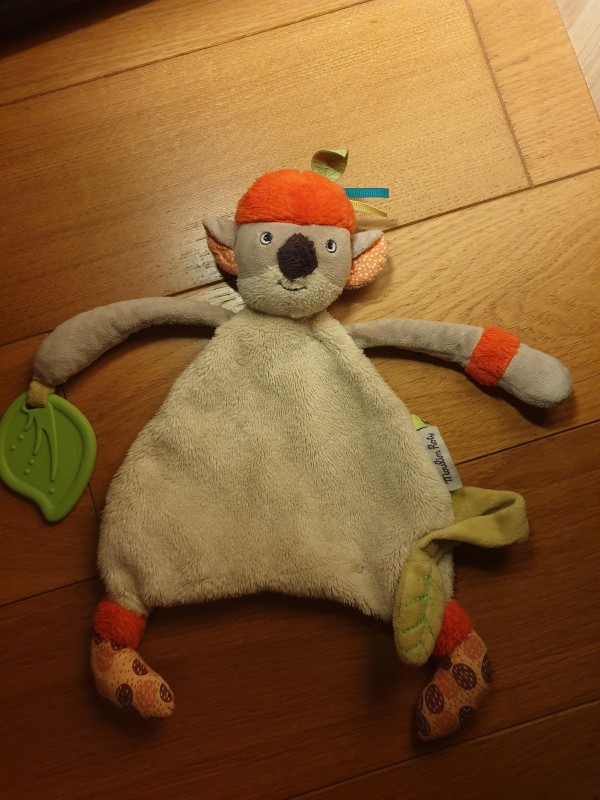 Perdu Doudou intra muros