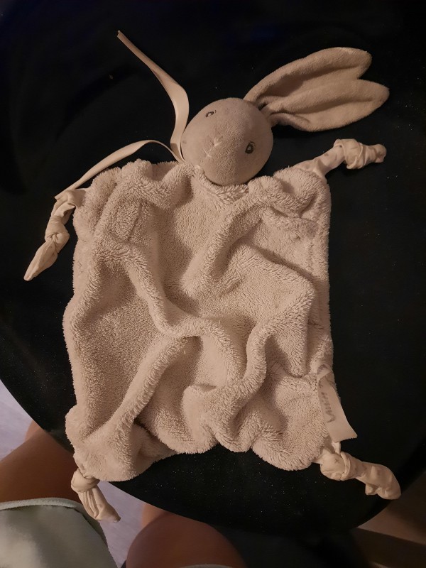 Doudou trouvé lac de miribel jonag