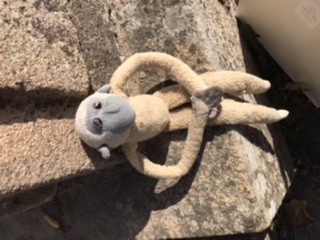 Doudou vu à Vannes