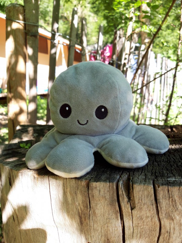 Doudou trouvé sur le chemin des vignes le 18 août au soir