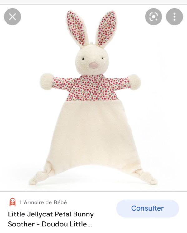 Perdu doudou Jellycat à Brest parking du chateau