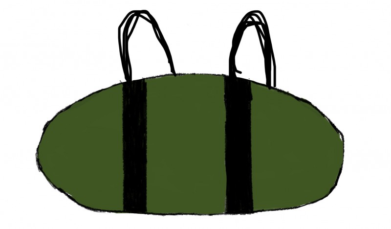 Grand sac de voyage vert volé à Antibes