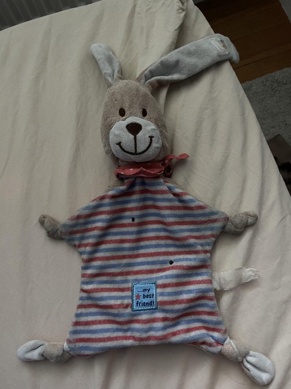 Doudou perdu trouvé à côté de Porte de l’hôpital à Strasbourg