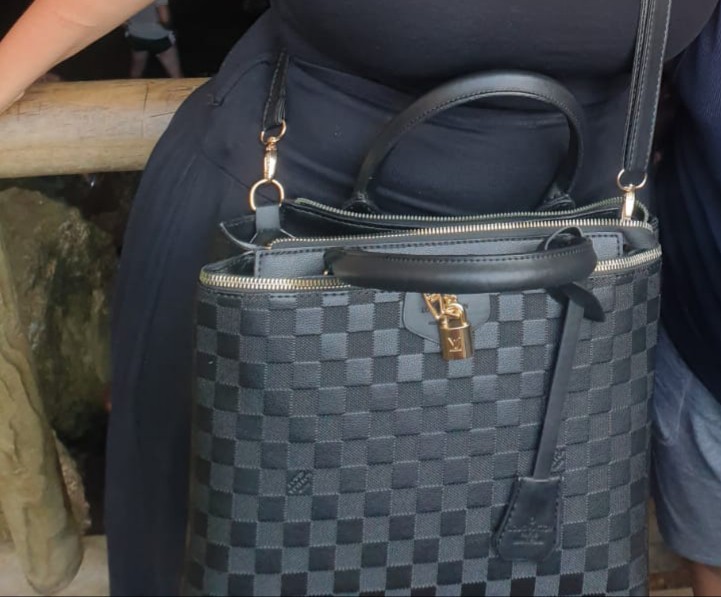 Sac à main volé LV noir