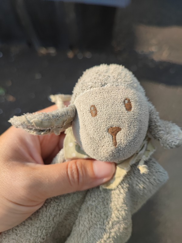 Doudou mouton