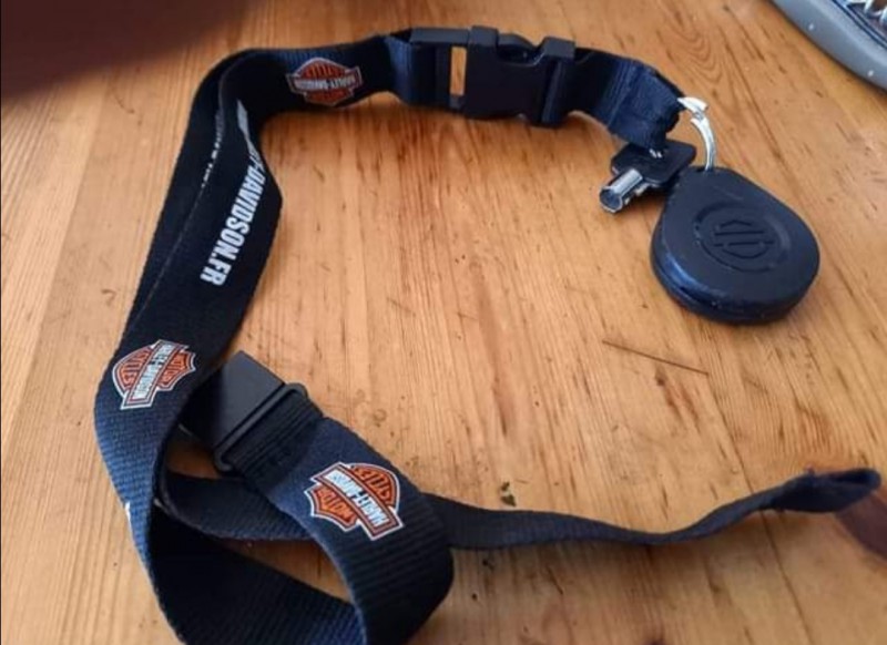 Clé trousseau moto Harley Davidson
