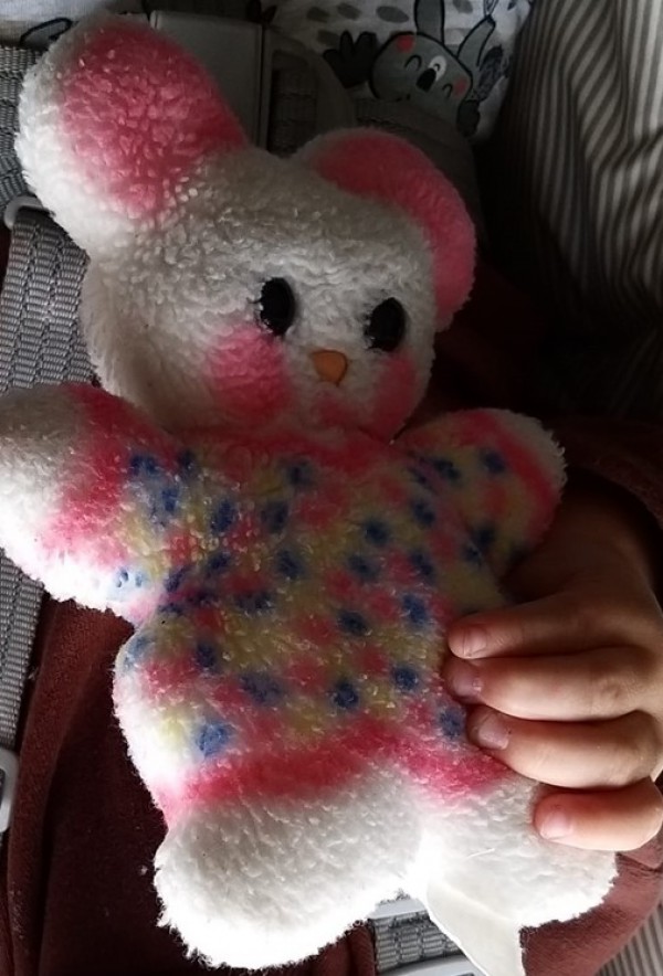 Doudou perdu zone commerciale de Ste Eulalie (33)