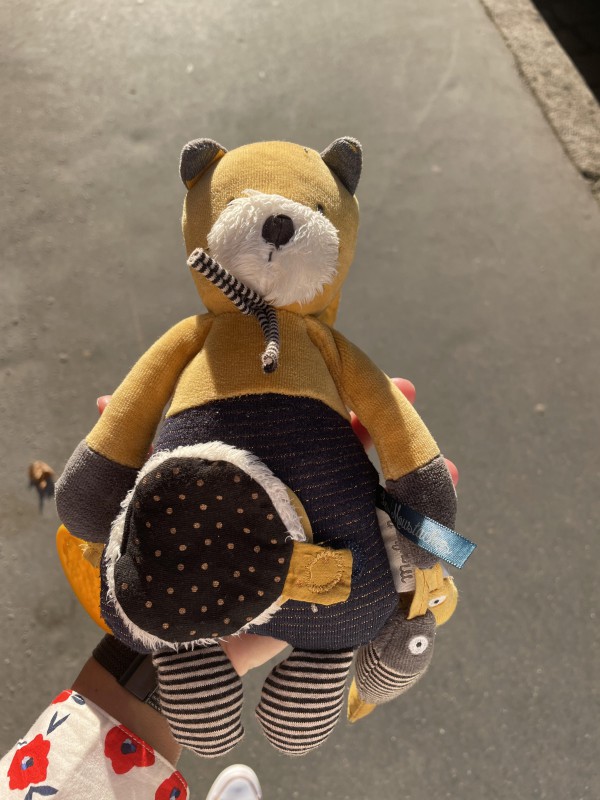 Doudou / peluche trouvée Avenue maréchal de Saxe - Lyon 06