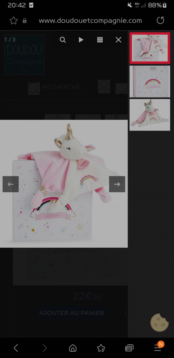 Perdu Doudou Licorne dans le centre ville de Sète où Palavas
