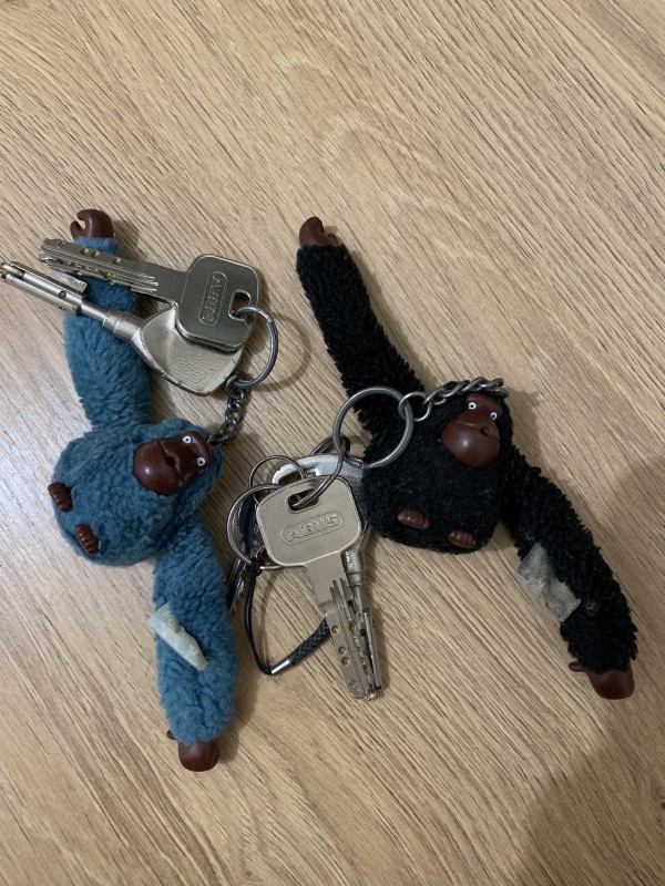 Clé trouvée au parc favols