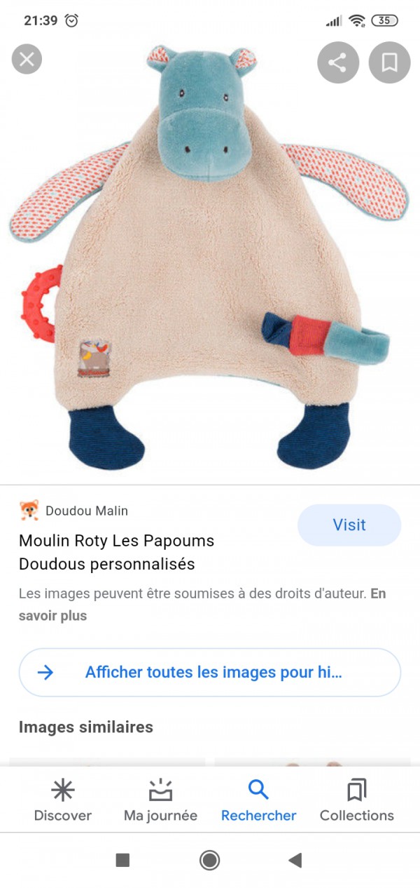Doudou hippo moulin roty, château Nantes cathédrale, foire