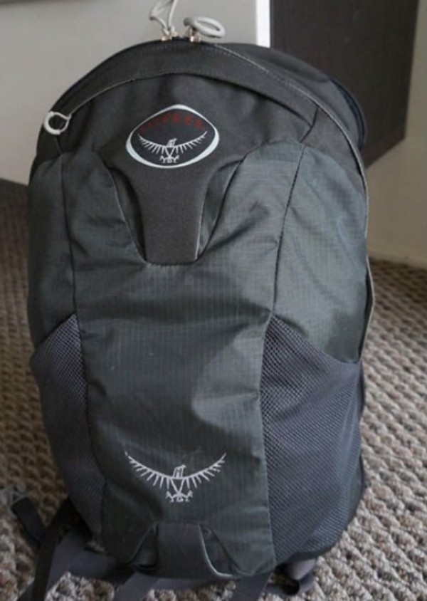 Sac à Dos Verte volé en TGV à Antibes