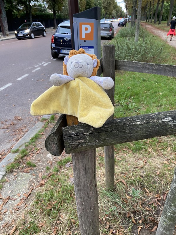 Doudou Lion