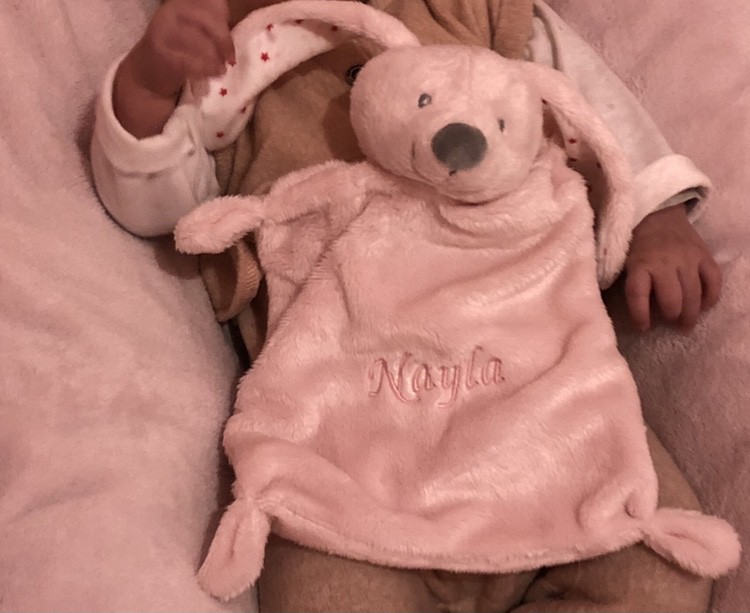 Perdu un Doudou lapin brodé Nayla