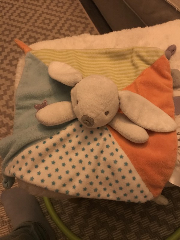 Perdu un doudou obaibi à Orléans centre samedi après-midi