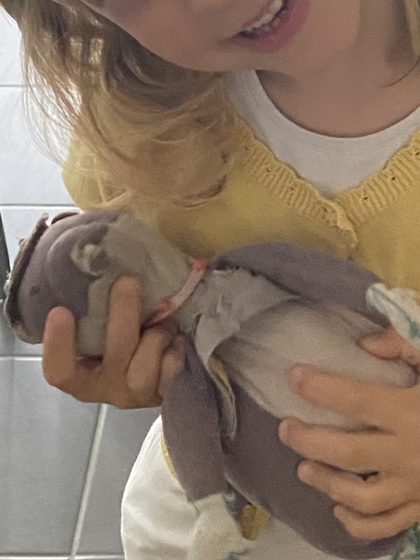 Perdu Doudou