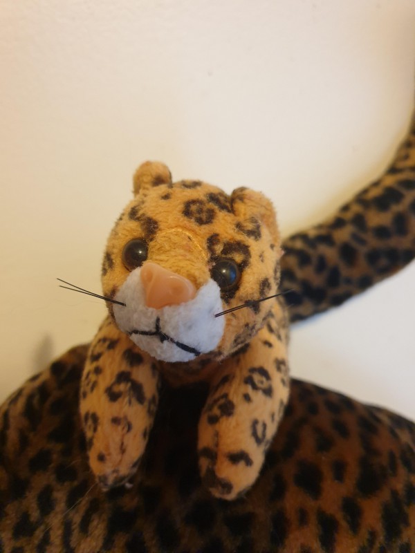 Doudou perdu