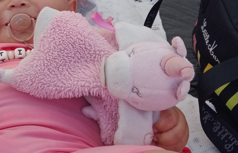 Perdu doudou licorne entre arrêté de tram du chaffault et chantier naval a nantes