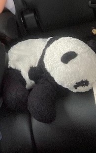 Doudou Panda autour du 320 Avenue de Poilus 13012 MARSEILLE