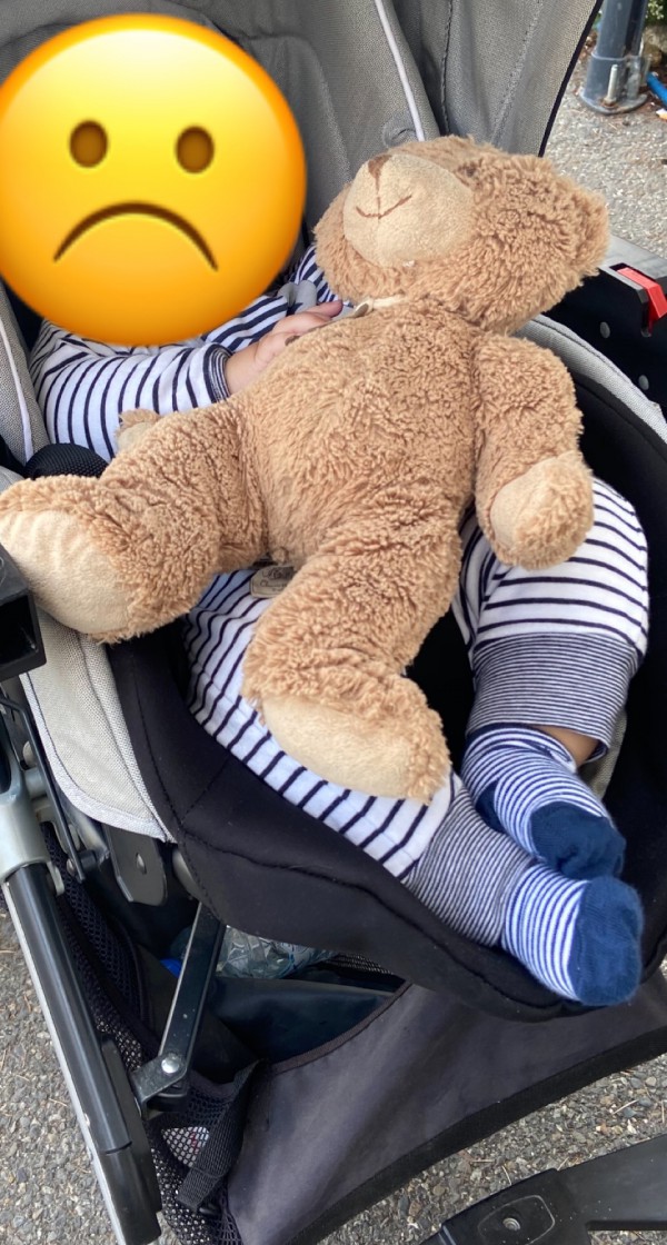 Perdu doudou ours en peluche