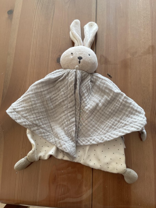 Doudou trouvé Beaumont sur leze